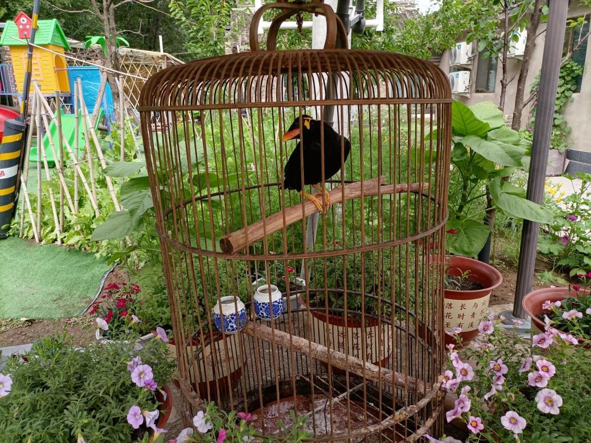 Dong Li Guest House Miyun 외부 사진